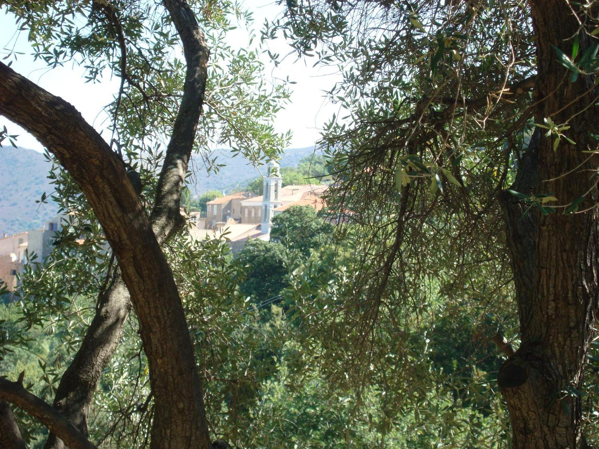 Costa Di Sognu Villa Exterior photo