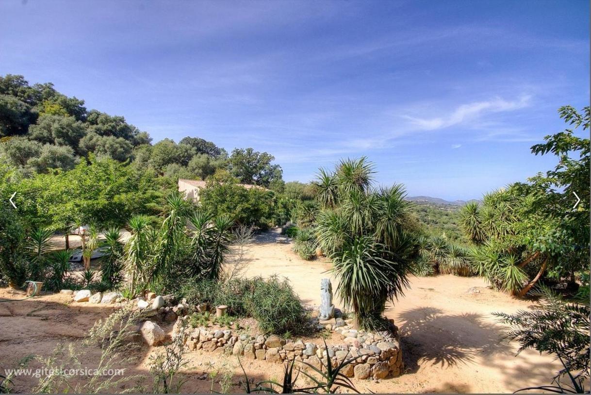 Costa Di Sognu Villa Exterior photo